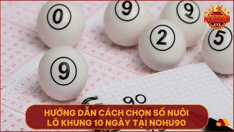 Cách nuôi lô khung 10 ngày tại NOHU90 hiệu quả và an toàn 3 Áp dụng phân tích thống kê để chọn số nuôi lô khung chính xác tại NOHU90